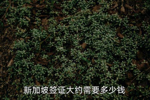 新加坡簽證大約需要多少錢