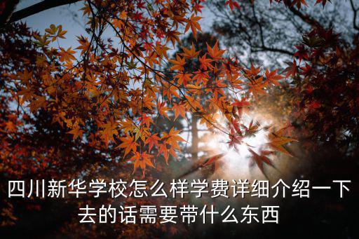 新華學校學費，四川新華學校怎么樣學費詳細介紹一下去的話需要帶什么東西