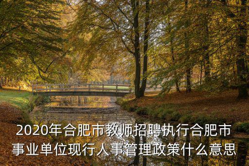 合肥教師招聘，安徽合肥教師招聘審核之前可以改崗位嗎