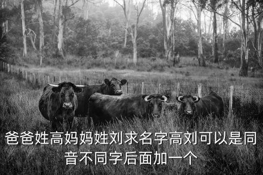 高劉，高劉在什么地方啊