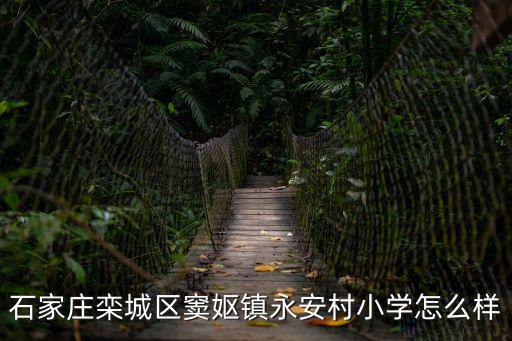 石家莊欒城區竇嫗鎮永安村小學怎么樣