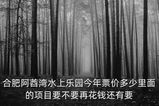 合肥阿酋灣水上樂園今年票價多少里面的項(xiàng)目要不要再花錢還有要
