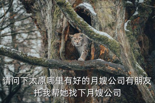 請問下太原哪里有好的月嫂公司有朋友托我幫她找下月嫂公司