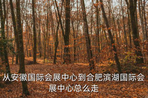 從安徽國際會展中心到合肥濱湖國際會展中心總么走