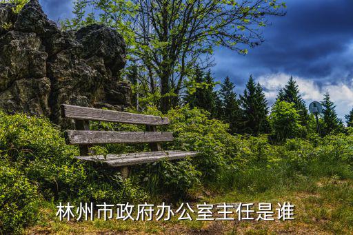 林州市政府辦公室主任是誰(shuí)
