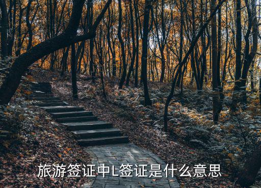 l簽注，旅游簽證中L簽證是什么意思