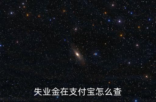 失業(yè)金在支付寶怎么查