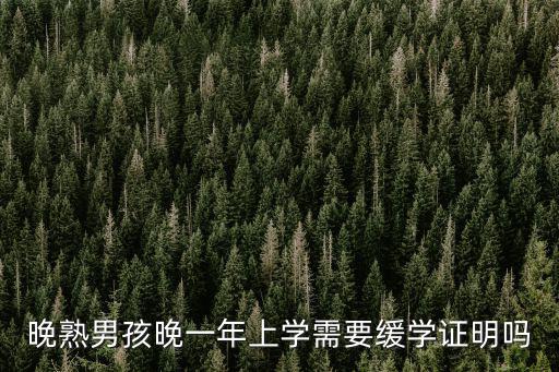 晚熟男孩晚一年上學(xué)需要緩學(xué)證明嗎