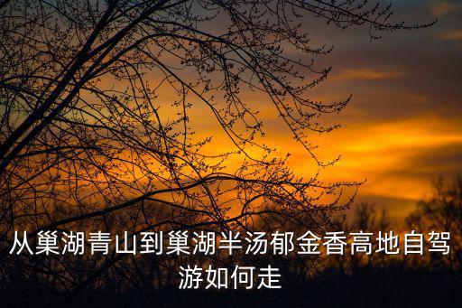 從巢湖青山到巢湖半湯郁金香高地自駕游如何走