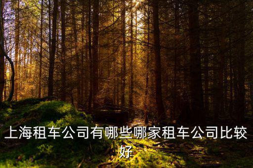上海租車公司有哪些哪家租車公司比較好