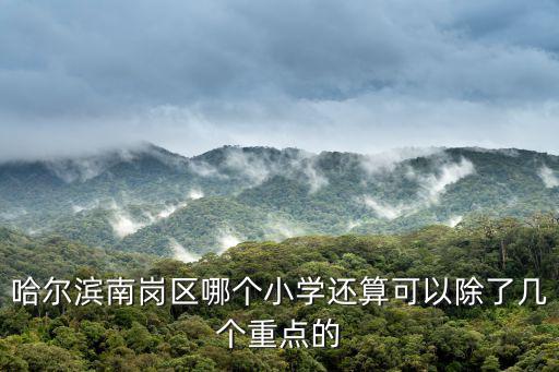 哈爾濱南崗區(qū)哪個(gè)小學(xué)還算可以除了幾個(gè)重點(diǎn)的