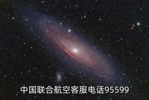 中國聯合航空客服電話95599