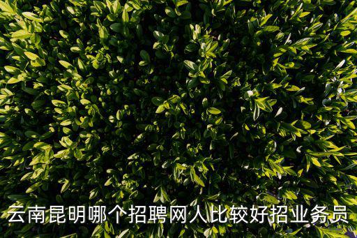 昆明義招網，云南昆明哪個招聘網人比較好招業務員