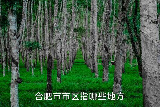 合肥市市區指哪些地方