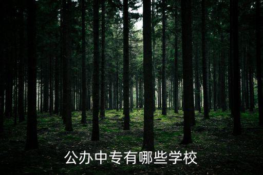 公辦中專，公辦中專有哪些學校