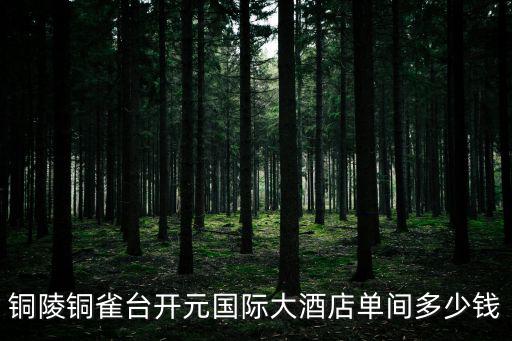 銅陵銅雀臺開元國際大酒店單間多少錢