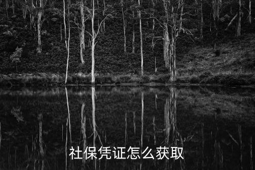 社保憑證怎么獲取