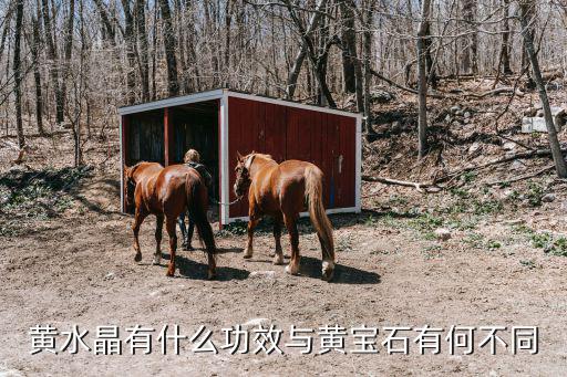 黃水晶有什么功效與黃寶石有何不同