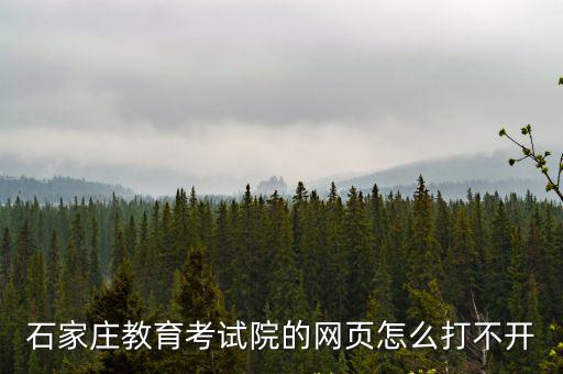 石家莊教育考試院的網頁怎么打不開