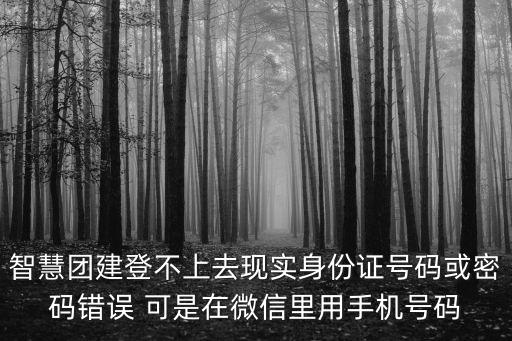 智慧團(tuán)建登不上去現(xiàn)實(shí)身份證號(hào)碼或密碼錯(cuò)誤 可是在微信里用手機(jī)號(hào)碼