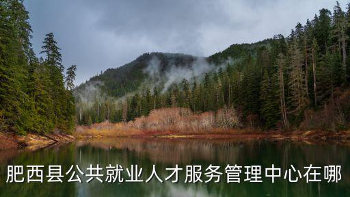 肥西人事，肥西縣桃花鎮的人事檔案放哪