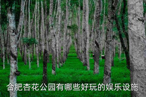 合肥杏花公園有哪些好玩的娛樂設施