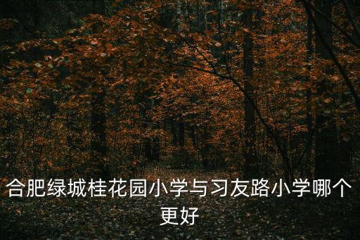 合肥綠城桂花園小學與習友路小學哪個更好