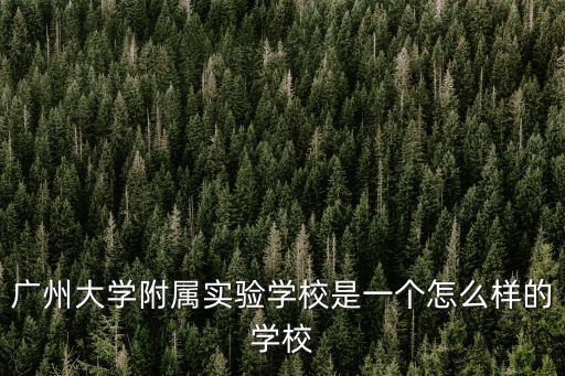 廣州大學附屬實驗學校是一個怎么樣的學校