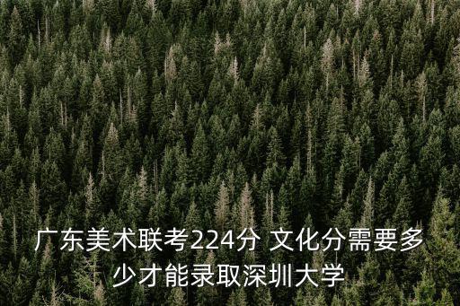廣東美術聯考224分 文化分需要多少才能錄取深圳大學