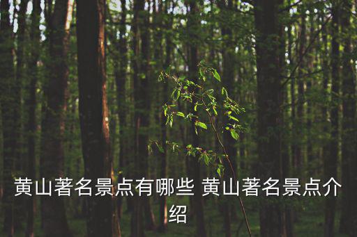 黃山著名景點有哪些 黃山著名景點介紹