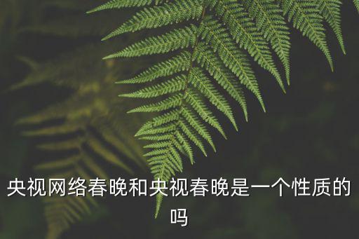 央視網(wǎng)絡春晚和央視春晚是一個性質(zhì)的嗎