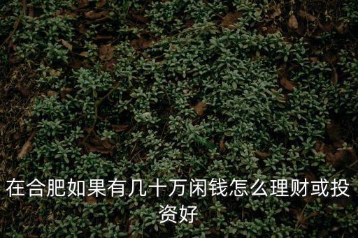 在合肥如果有幾十萬(wàn)閑錢(qián)怎么理財(cái)或投資好