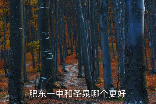 肥東一中和圣泉哪個更好