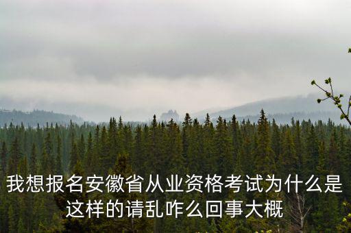 我想報(bào)名安徽省從業(yè)資格考試為什么是這樣的請(qǐng)亂咋么回事大概