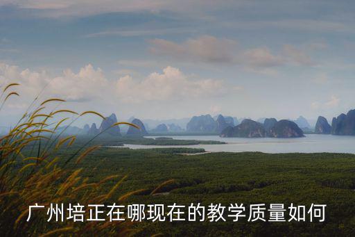 廣州培正在哪現在的教學質量如何
