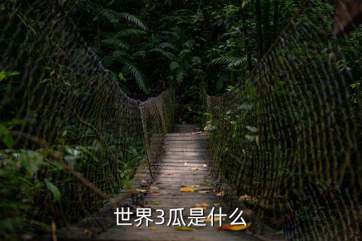 世界3瓜是什么