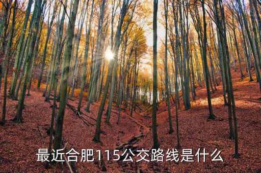 115路公交車路線，115公交在哪站下離中南樂游城近