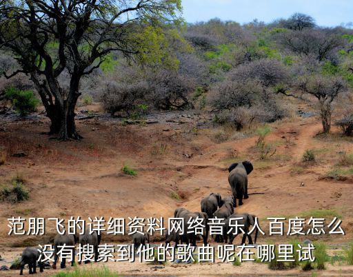 范朋飛，單程是什么意思