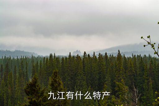九江有什么特產
