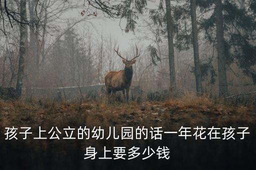 幼兒園多少錢，孩子上公立的幼兒園的話一年花在孩子身上要多少錢