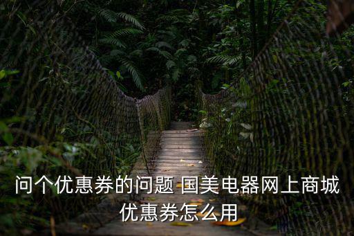 問個優惠券的問題 國美電器網上商城 優惠券怎么用