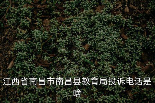 南昌縣教育局，江西省南昌市南昌縣教育局投訴電話是啥