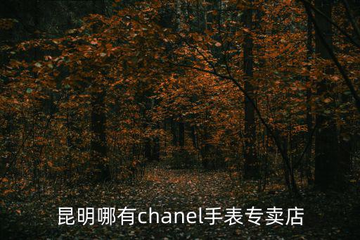 香奈兒手表專賣店，昆明哪有chanel手表專賣店
