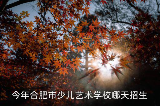 今年合肥市少兒藝術(shù)學(xué)校哪天招生
