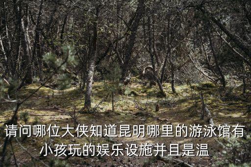 請問哪位大俠知道昆明哪里的游泳館有小孩玩的娛樂設(shè)施并且是溫