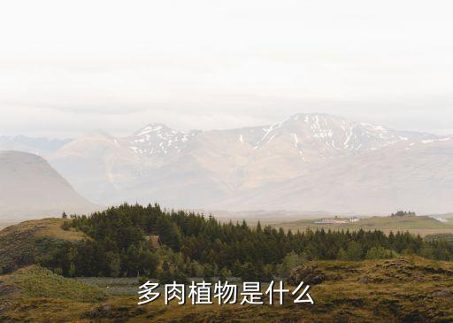 多肉植物是什么