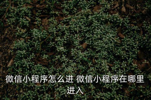 微信小程序怎么進 微信小程序在哪里進入