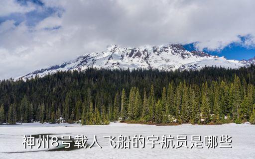 神州8號載人飛船的宇航員是哪些
