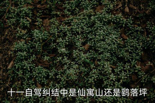 十一自駕糾結(jié)中是仙寓山還是鷂落坪
