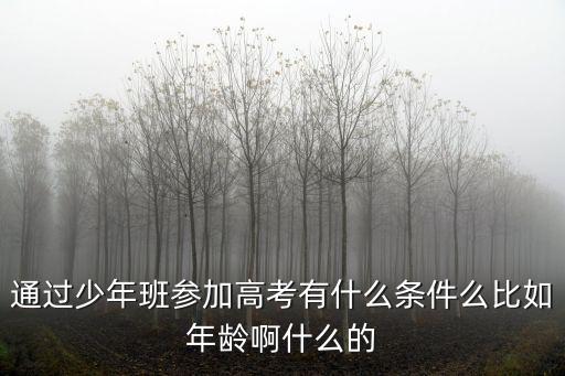 少年班招生條件，通過少年班參加高考有什么條件么比如年齡啊什么的